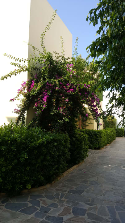 Gartenanlage Kefalos Beach Holiday Village