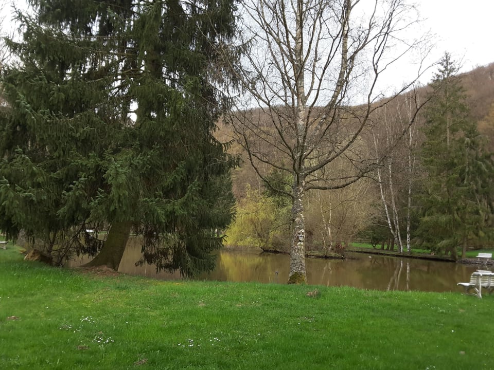 Ausblick Land-gut-Hotel Forellenhof