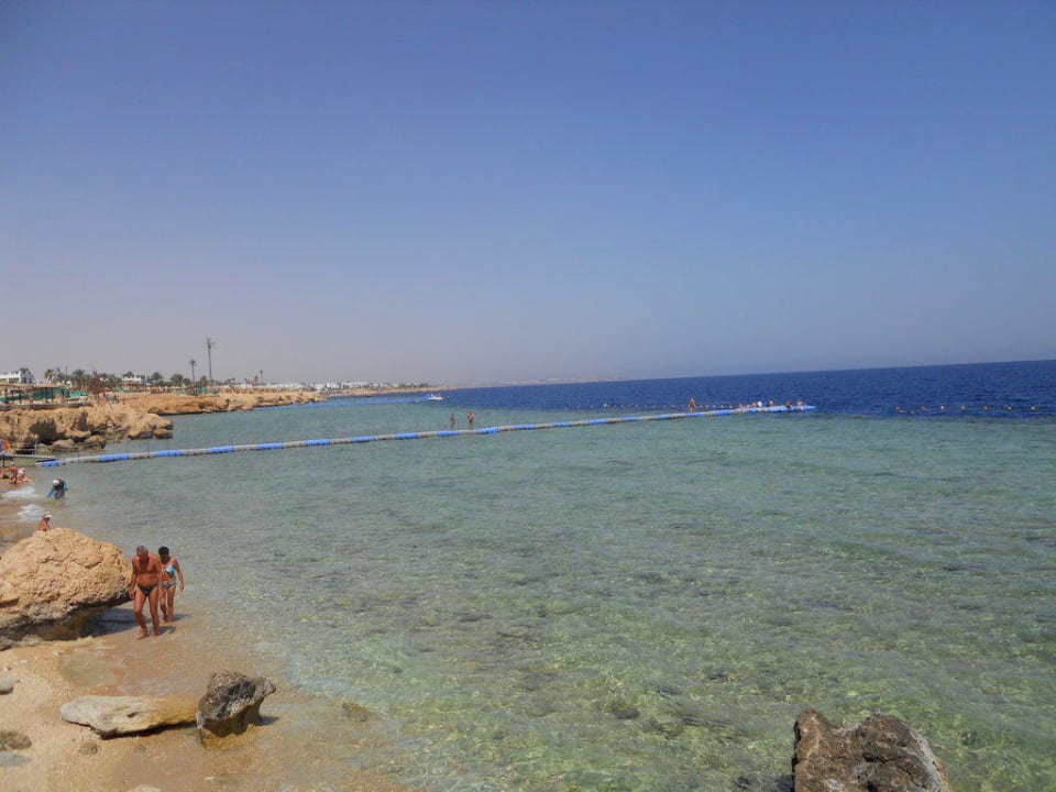 Riffansicht Renaissance Sharm El Sheikh Golden View Beach Resort