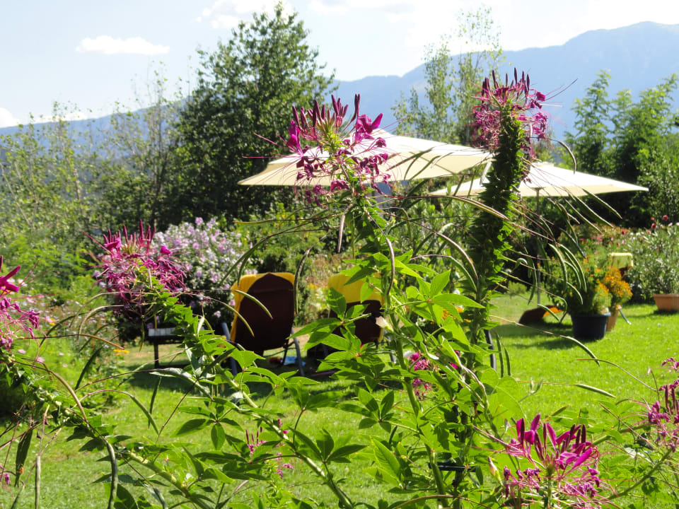 Gartenanlage Apartments Haus Krista