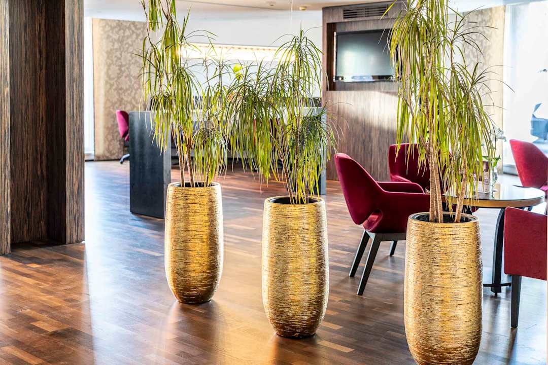 Lobby Best Western Plus Amedia Art Salzburg