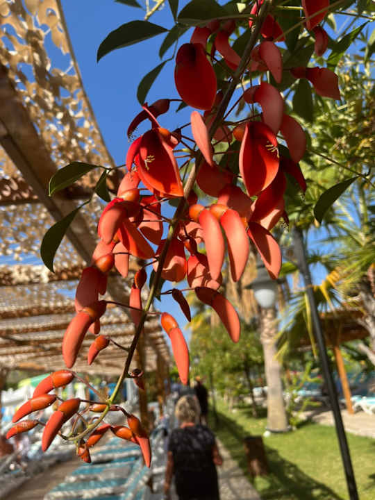 Sonstiges Dosinia Luxury Resort