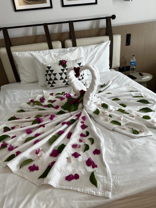 Zimmer Belek Beach Resort Hotel