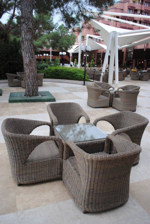 Terrasse Balmy Foresta