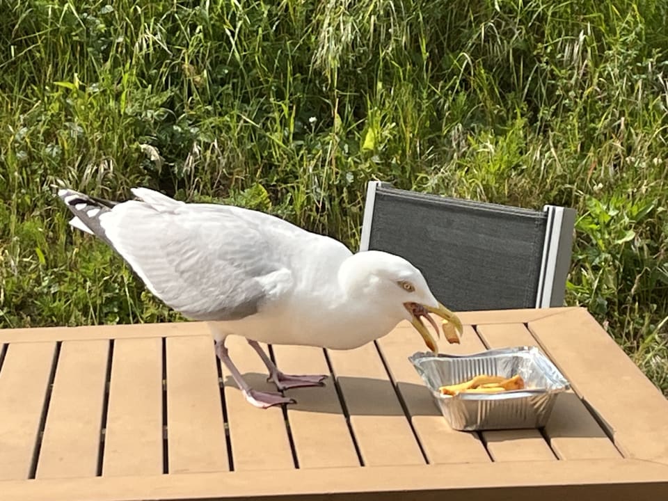 Sonstiges Center Parcs Park Zandvoort - Ferienhäuser
