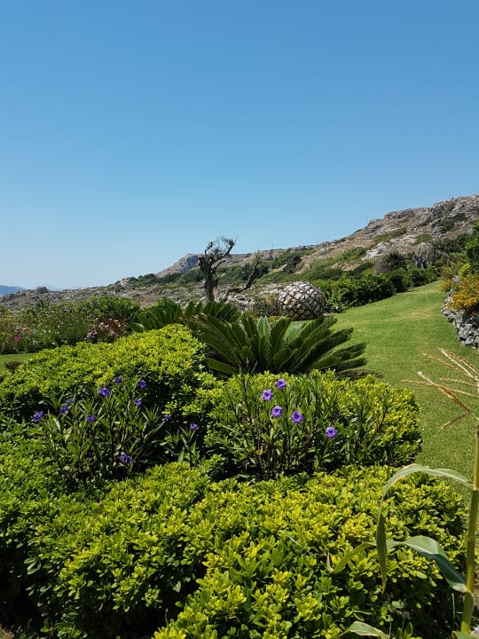 Gartenanlage Hotel Kalithea Horizon Royal