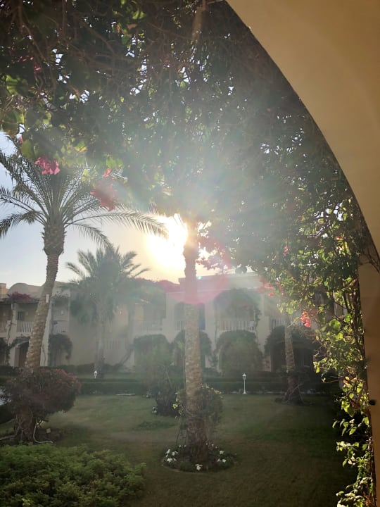 Ausblick TUI MAGIC LIFE Kalawy