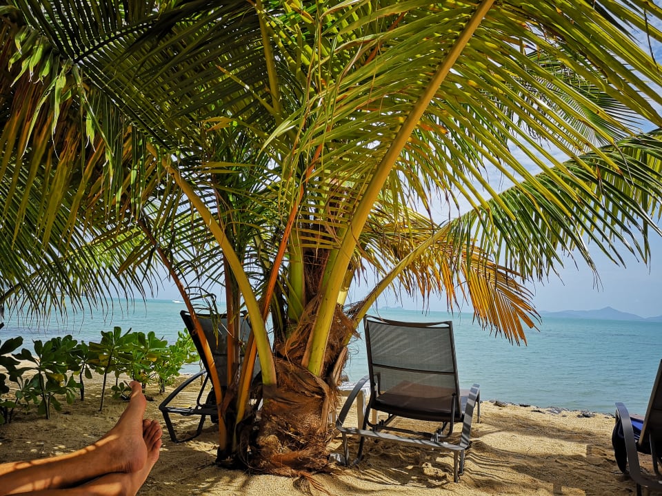 Ausblick Paradise Beach Resort, Samui