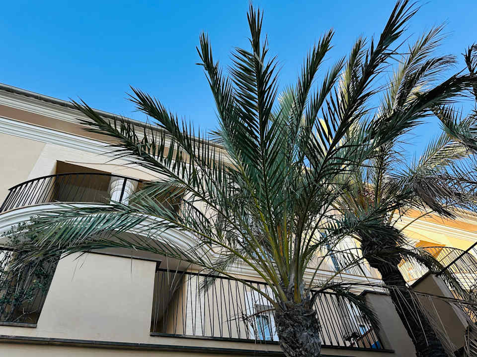 Außenansicht Grupotel Playa de Palma Suites & Spa