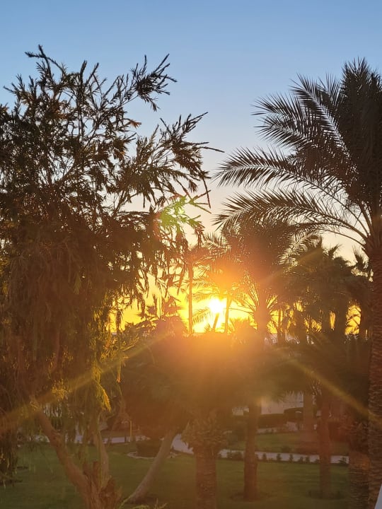 Ausblick Shams Safaga Resort