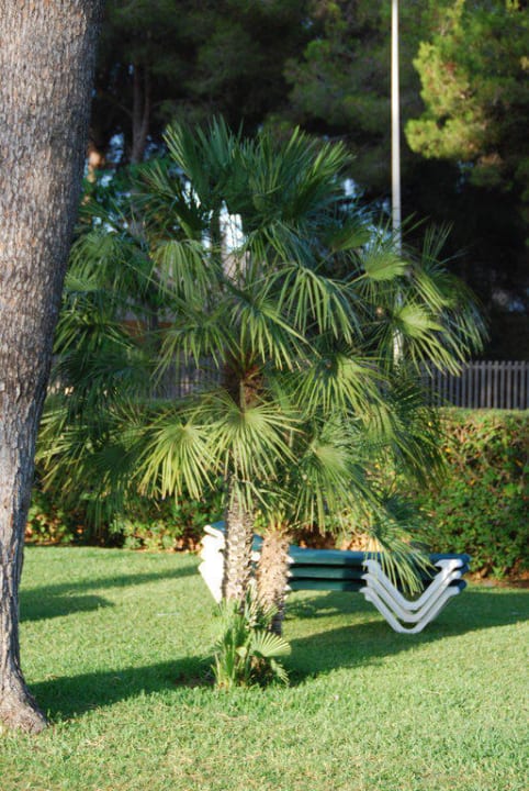 Nur toll! Protur Floriana Resort Aparthotel