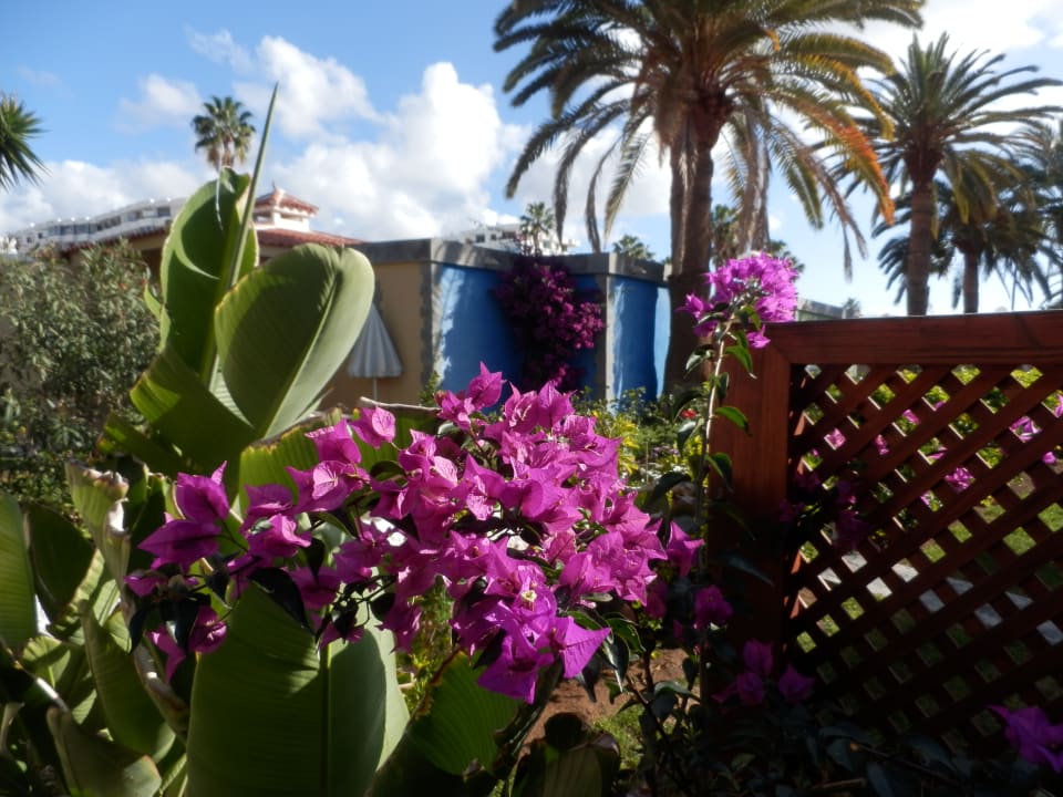 Außenansicht HL Miraflor Suites Hotel