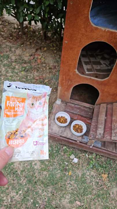 Gartenanlage Side Alegria Hotel & Spa - Adults only +16