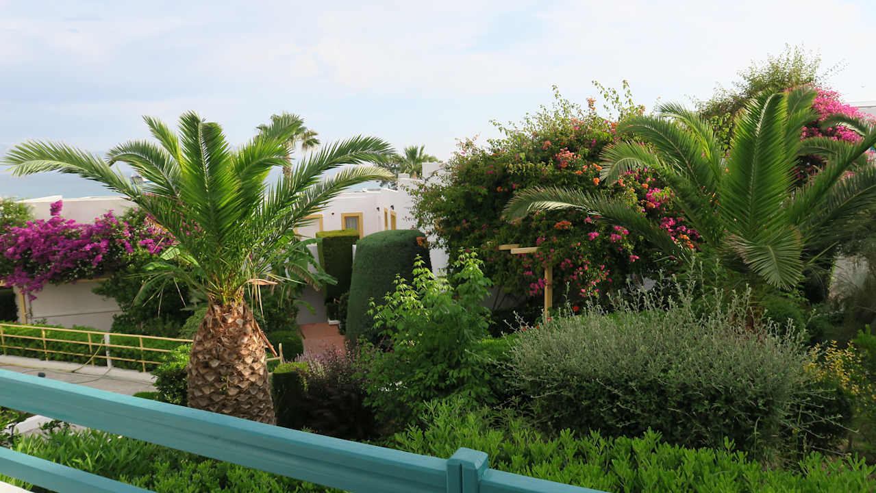 Ausblick Mastichari Bay Hotel