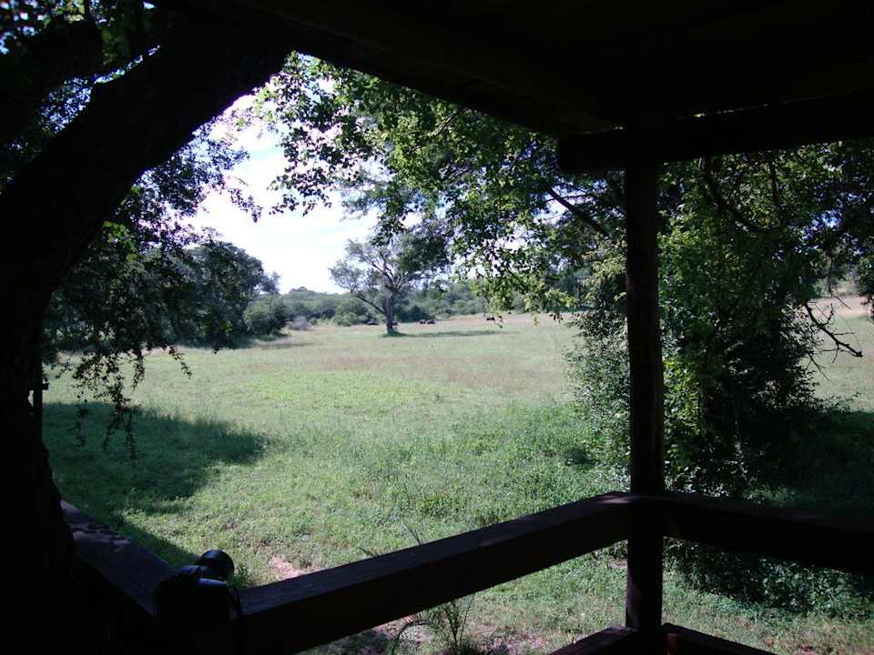Ausblick von der Veranda Notten's Bush Camp
