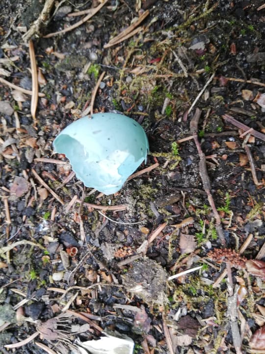 Gartenanlage Ferienzentrum Schloss Dankern