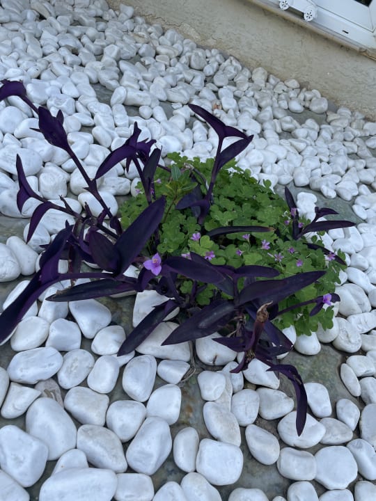 Gartenanlage Incekum Su Hotel