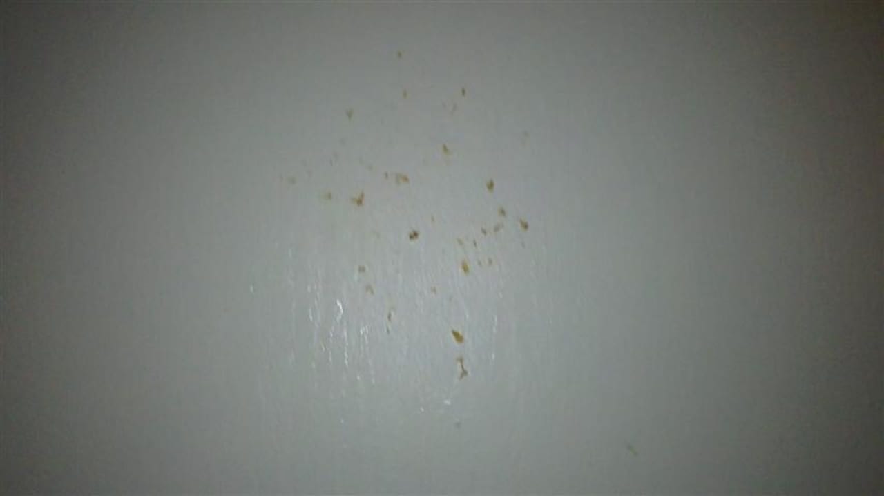 Wand vor Zimmer Alpenhof Kals