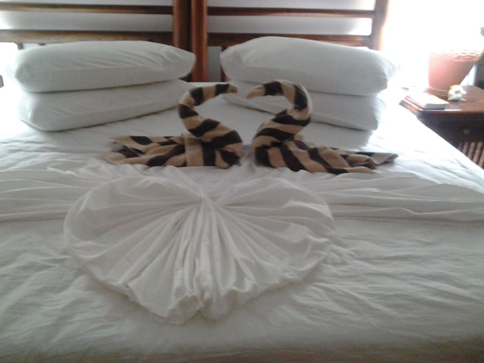 2 Schwäne auf dem Bett Kihaa Maldives