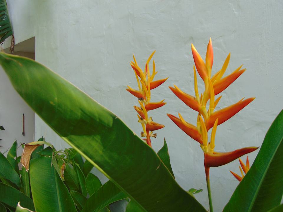 Gartenanlage Amber Lombok Beach Resort