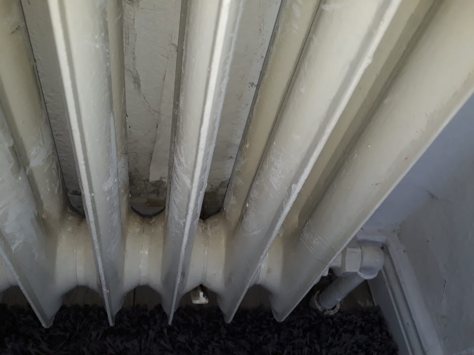 Zimmer Ferienwohnung Drei Eichen II