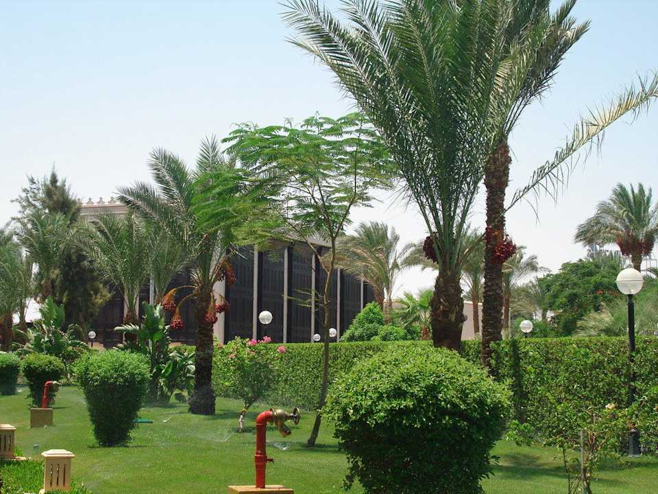 Сад Pickalbatros Palace Resort