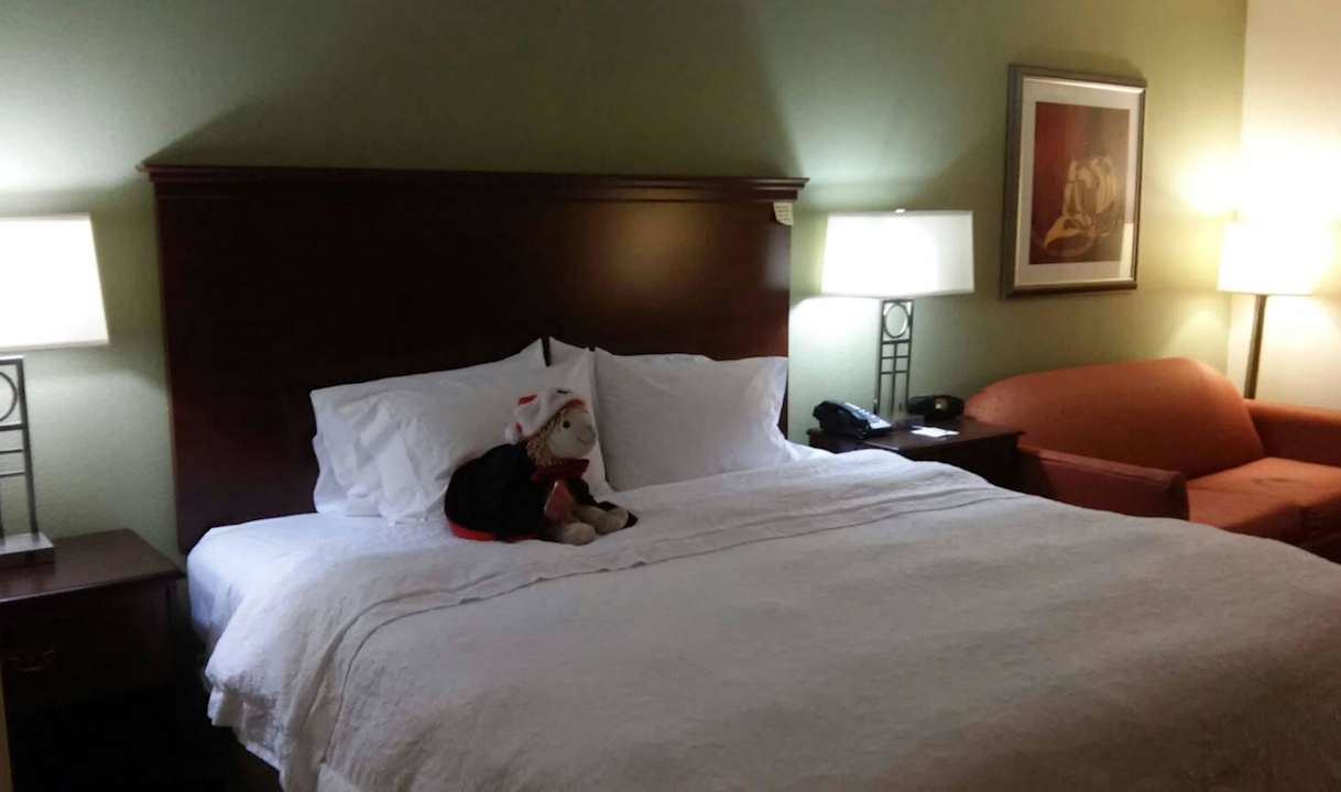 Cozy King to make yourself at home Hotel Hampton Inn New Bern