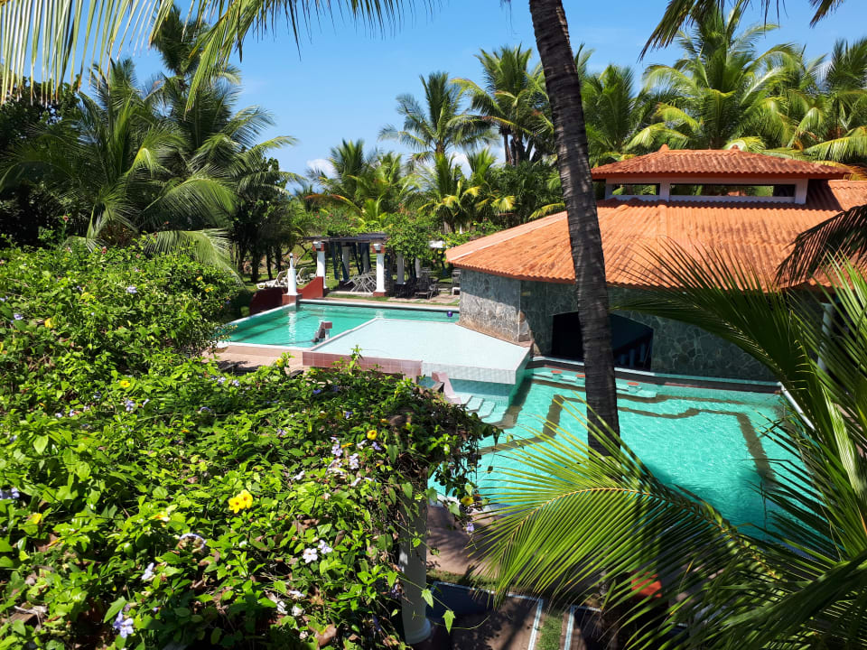 Pool Las Olas Resort