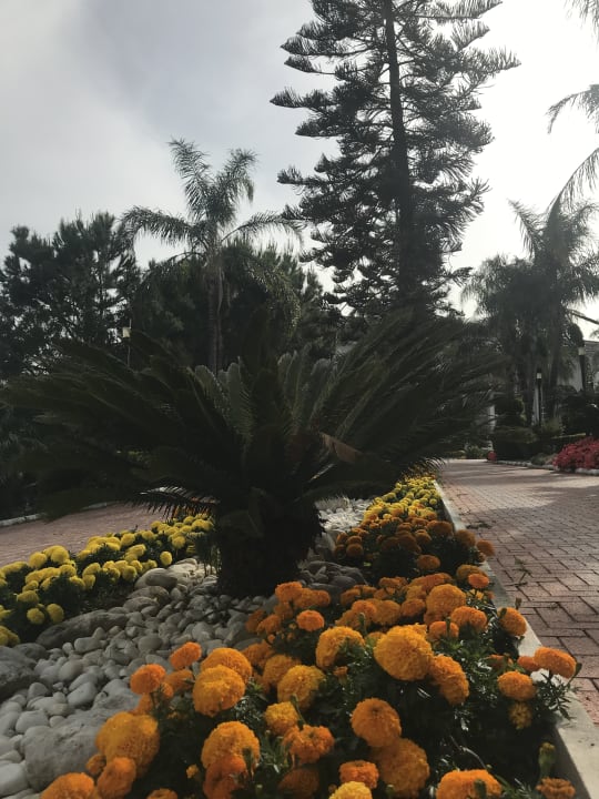 Gartenanlage Sunis Elita Beach Resort & Spa