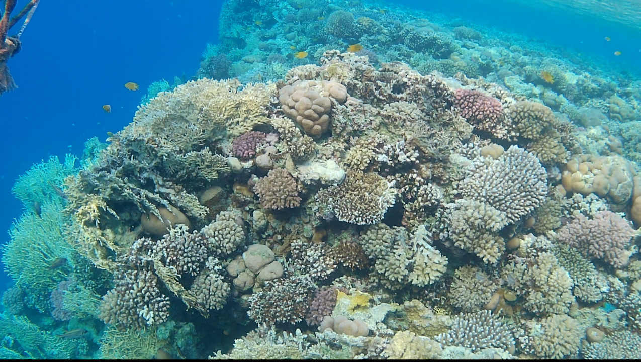 Strand Siva Golden Bay Makadi