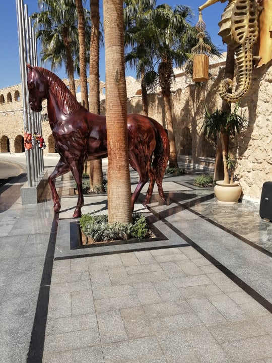 Außenansicht Pickalbatros Citadel Resort