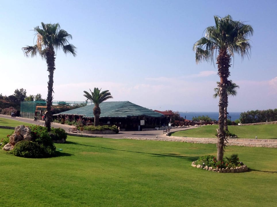 "Safari" Cafe Hotel Kalithea Horizon Royal