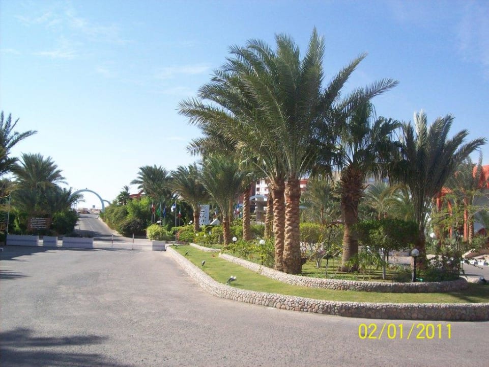Vor dem Hotel Arabia Azur Resort