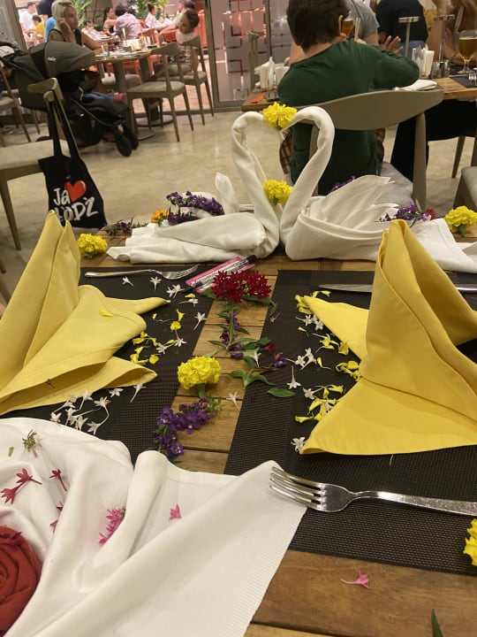 Gastro Arycanda Kirman Premium