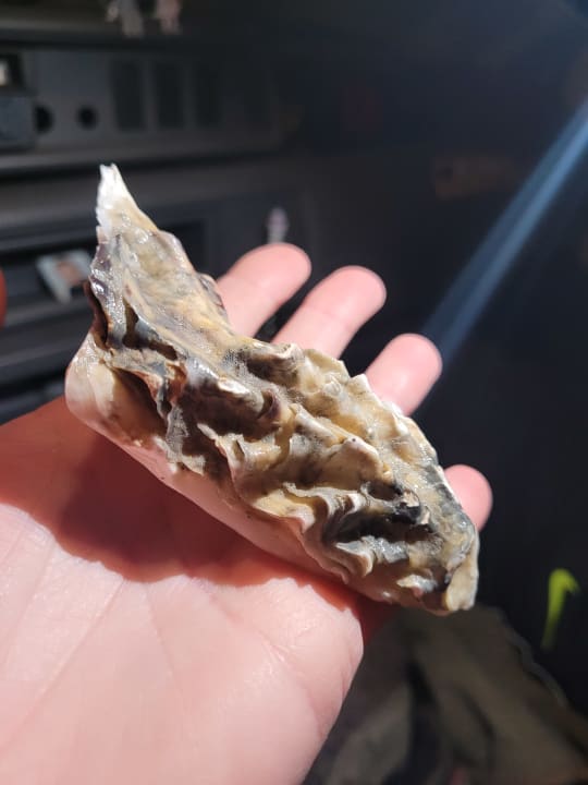 Sonstiges Hotel Noordzee