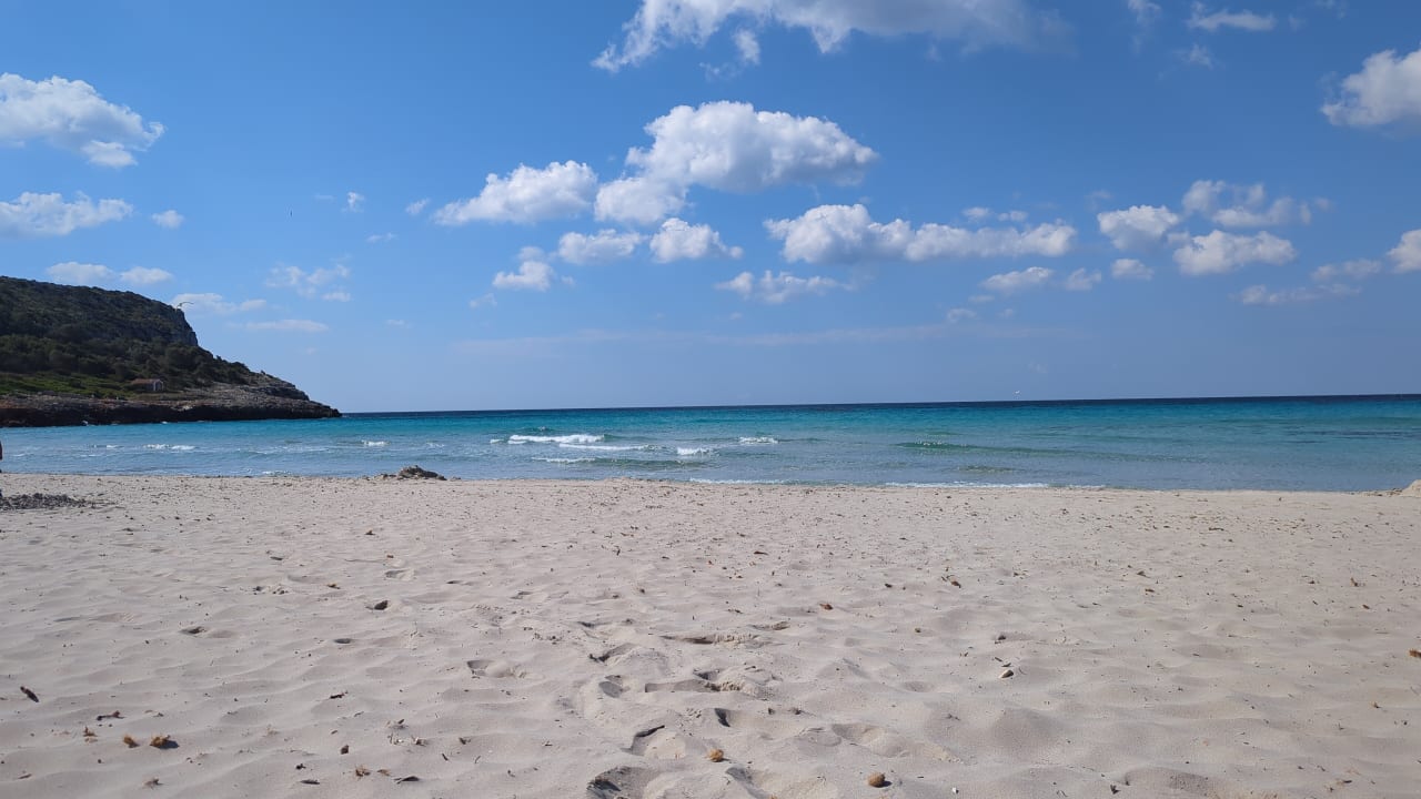 Strand Royal Son Bou Family Club