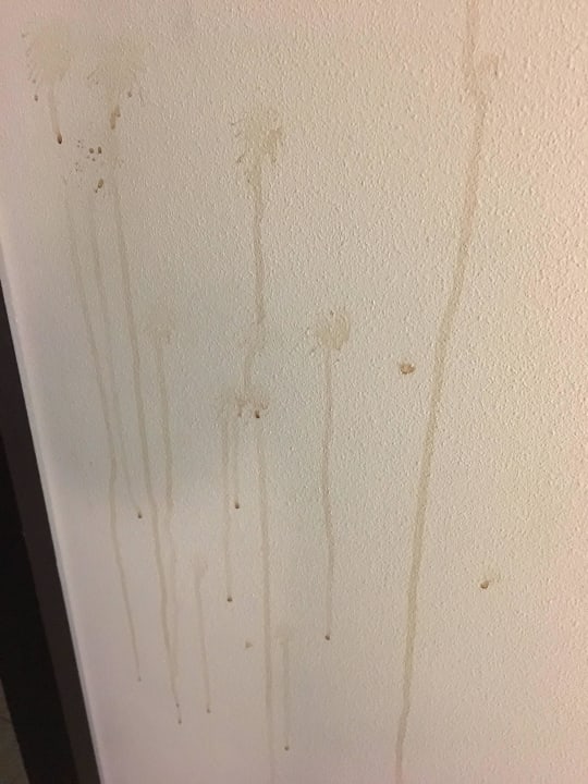 Kaffee (o.ä.) an der Wand, einfach übersehen The STRAT Hotel, Casino and SkyPod