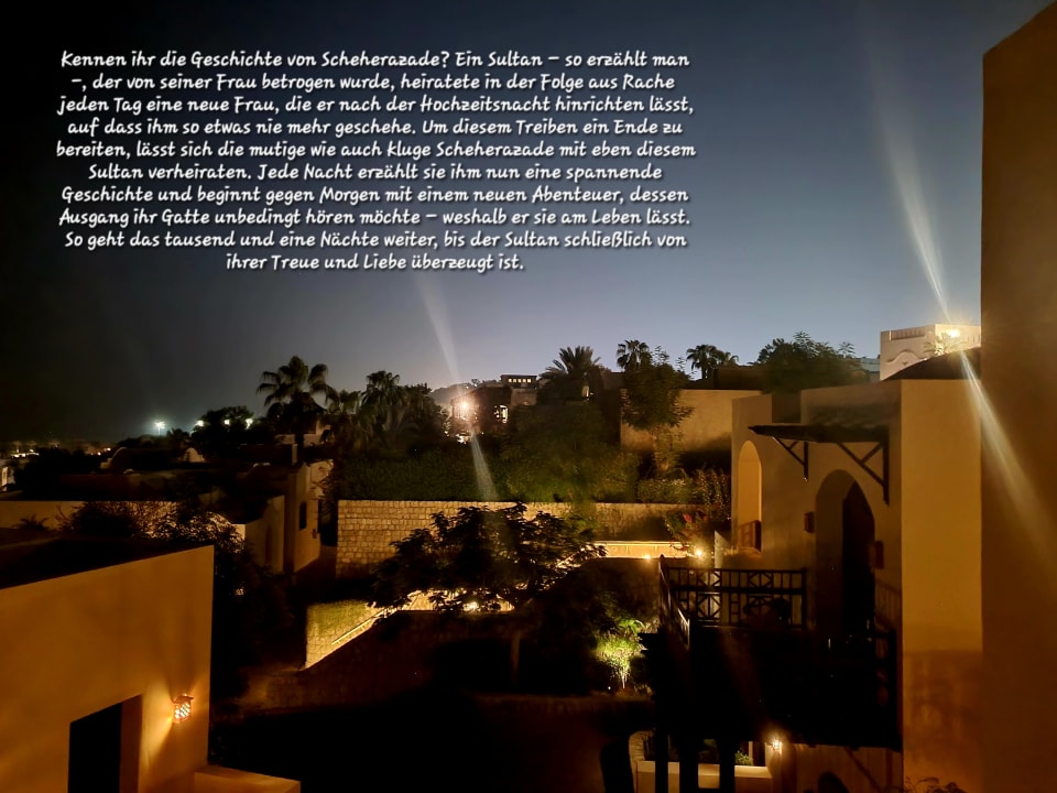 Ausblick The Cove Rotana Resort