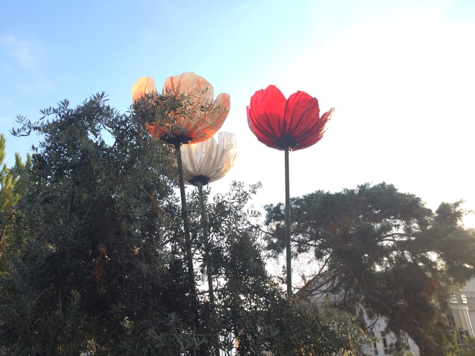 Gartentag Side Alegria Hotel & Spa - Adults only +16