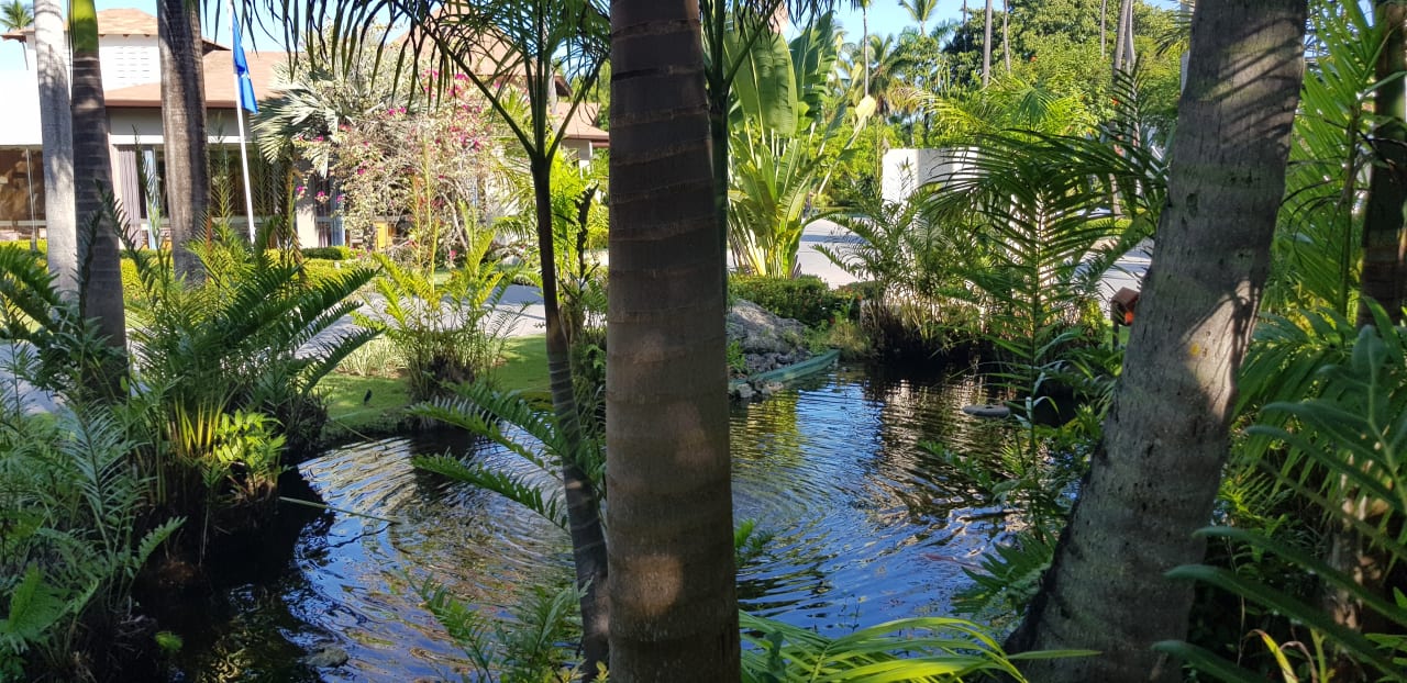 Gartenanlage Grand Palladium Punta Cana Resort & Spa