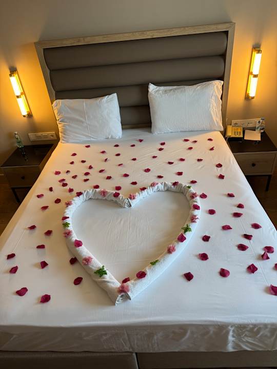 Zimmer Aydinbey Kings Palace & Spa