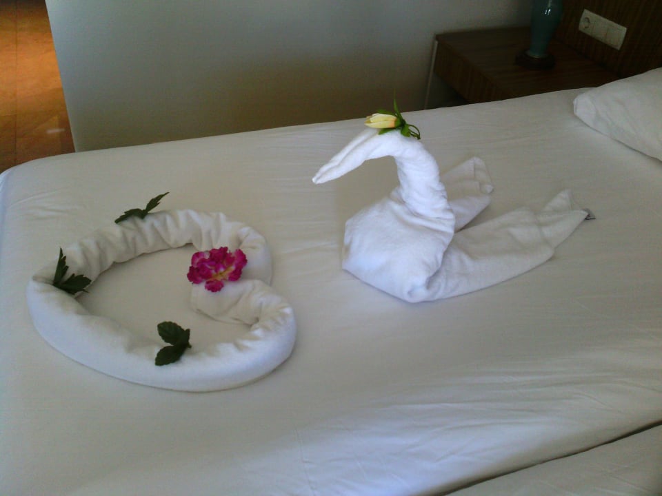 Schöne Deko  PALOMA Perissia