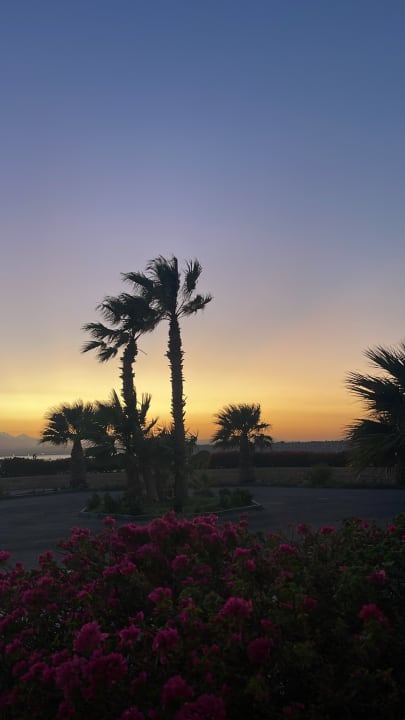 Ausblick ROBINSON SOMA BAY