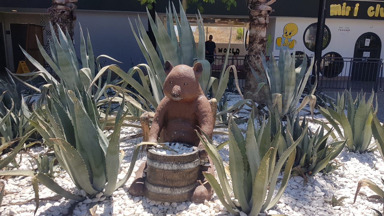 Gartenanlage Dream World Palace Hotel