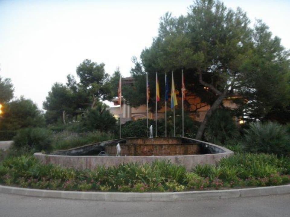 Zum Hotel Zafiro Mallorca
