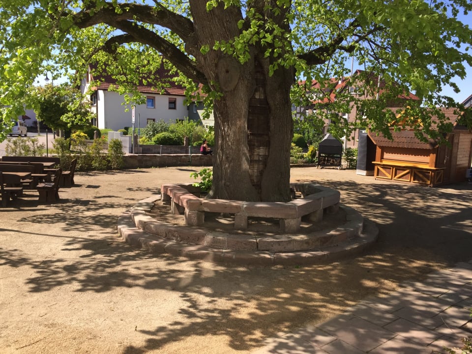 Gastro Landgasthof Zur Linde