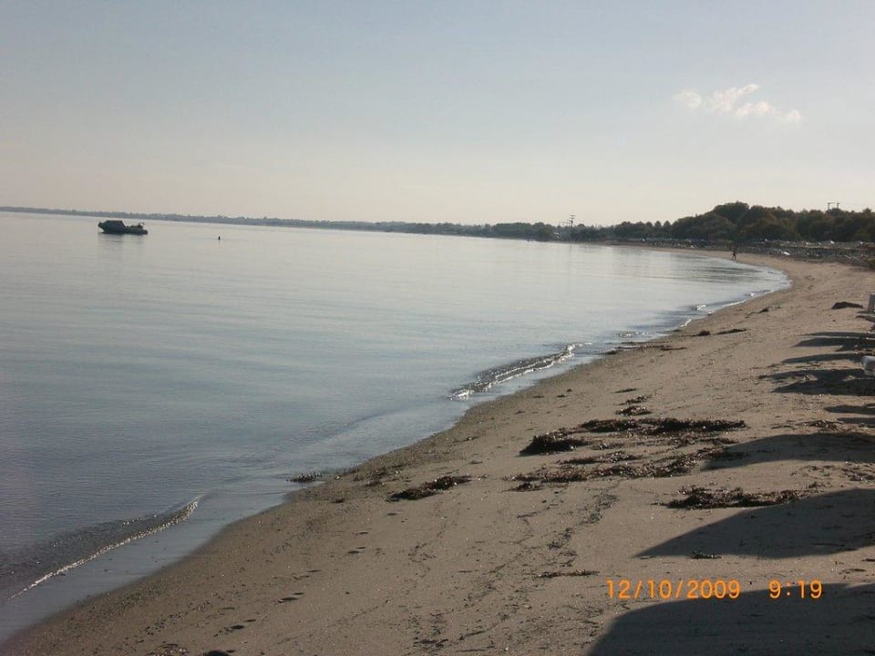 Strand am Morgen ananea Kos
