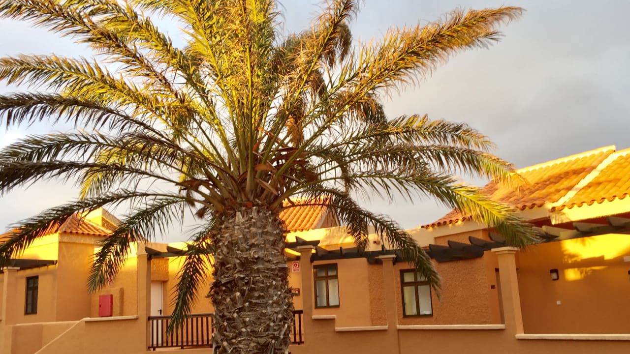 Gartenanlage Bakour Fuerteventura La Pared