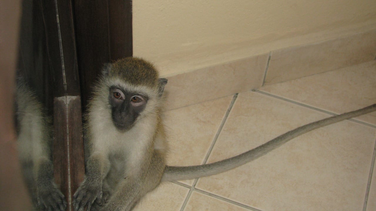 Balkon Neptune Beach Resort