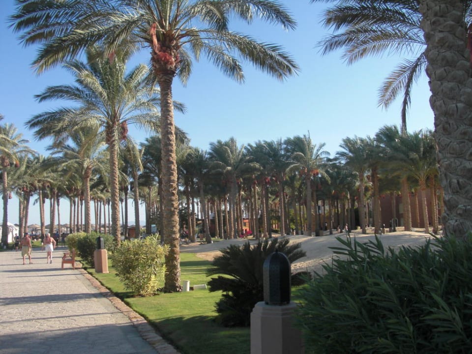 Wege am Strand Makadi Palace